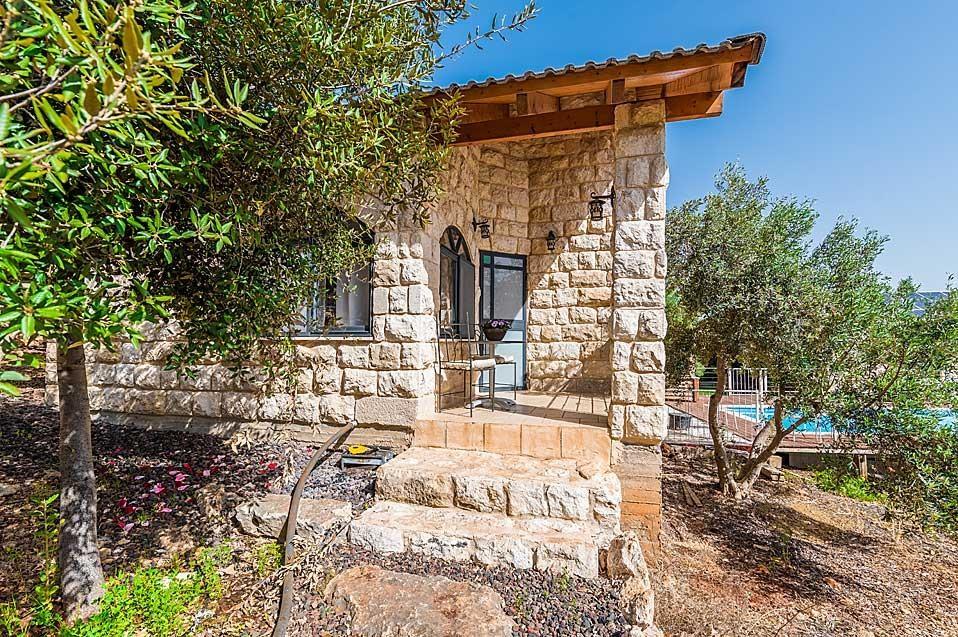 53.jpg
