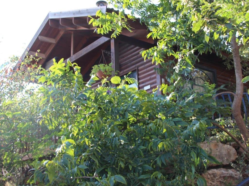 imgi_493_21918710.jpg